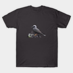 Noio - Hawaiian Black Noddy T-Shirt